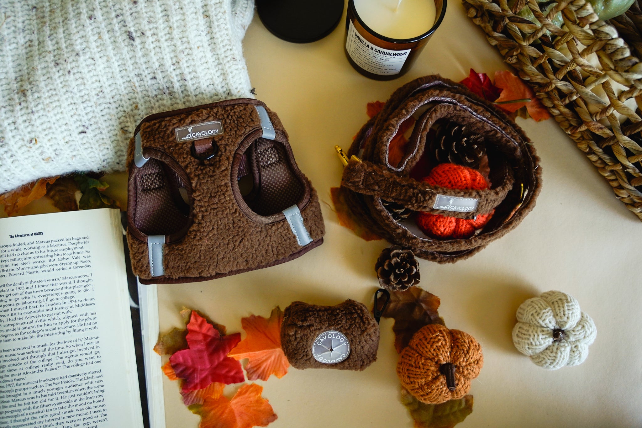 LEASH - Brown Sherpa Teddy