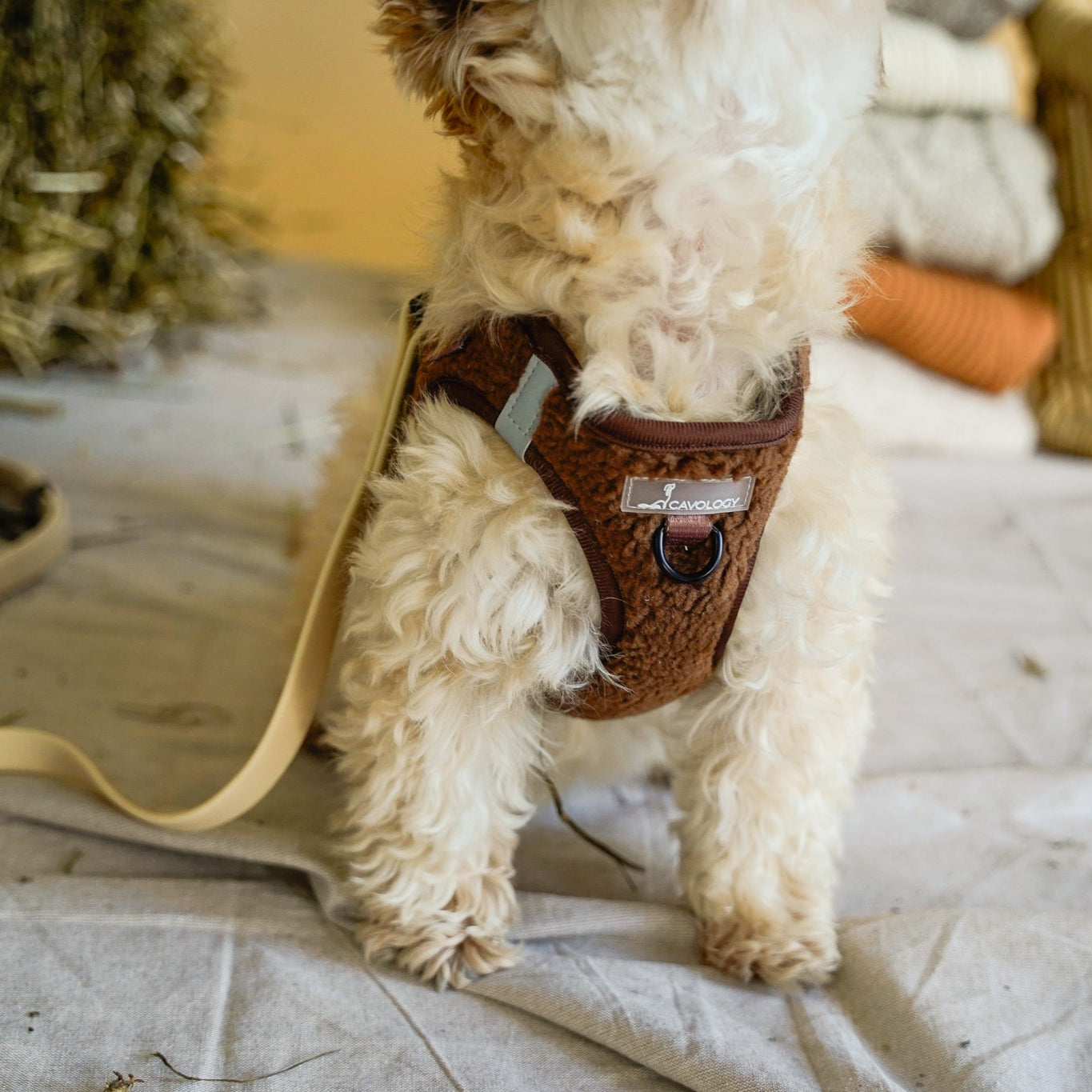 VEST STEP IN HARNESS - BROWN SHERPA TEDDY