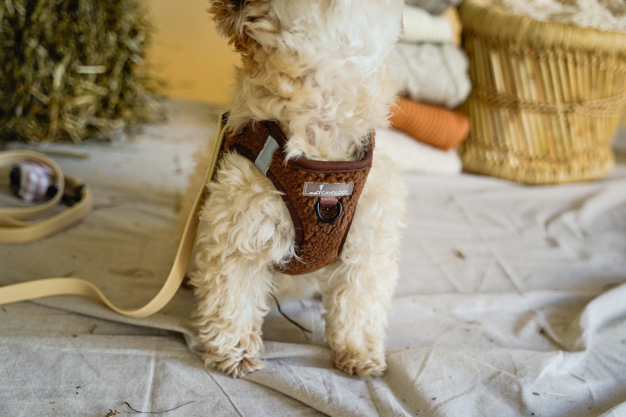 VEST STEP IN HARNESS - BROWN SHERPA TEDDY