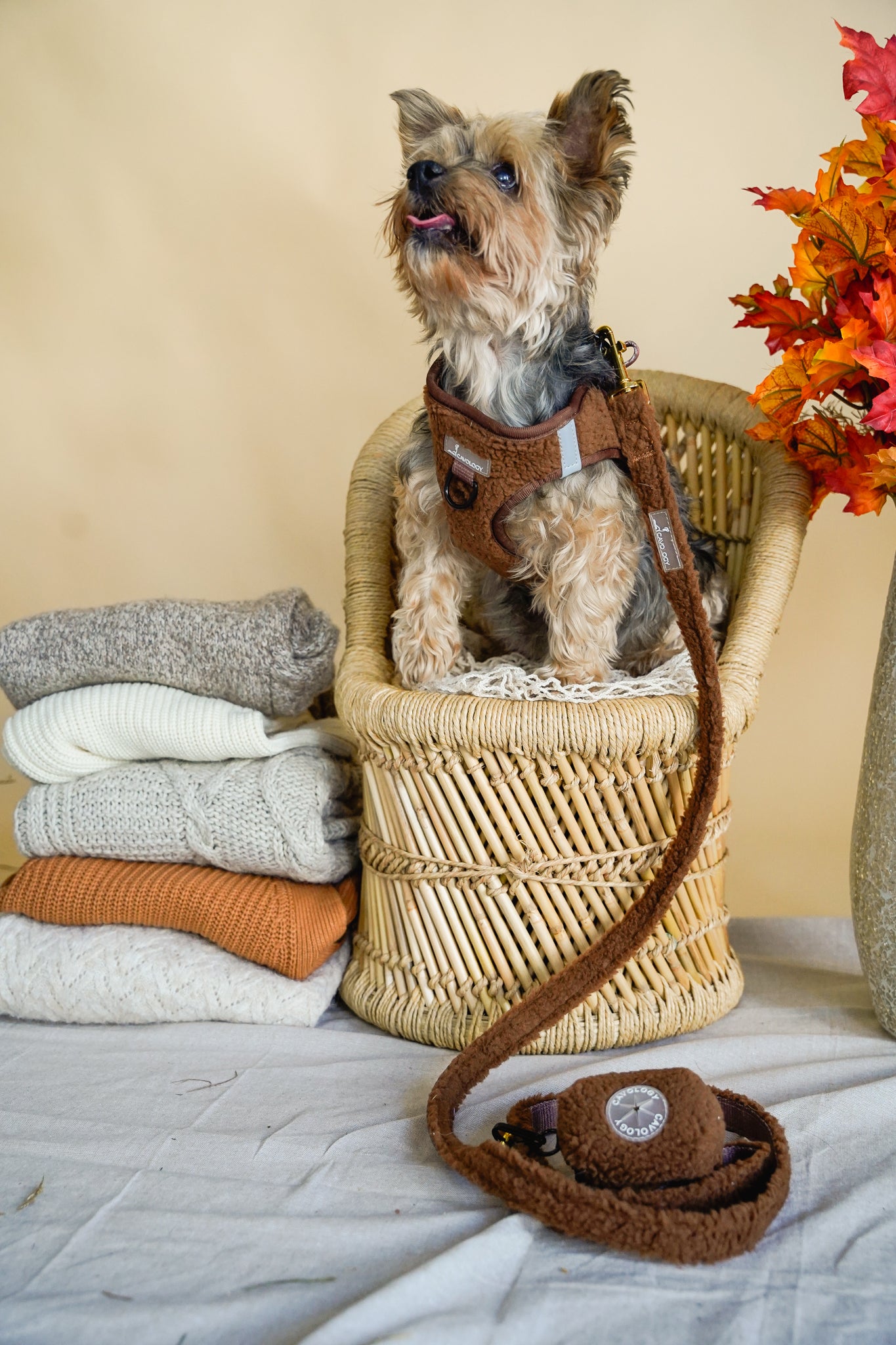 BUNDLE - Brown Sherpa Teddy