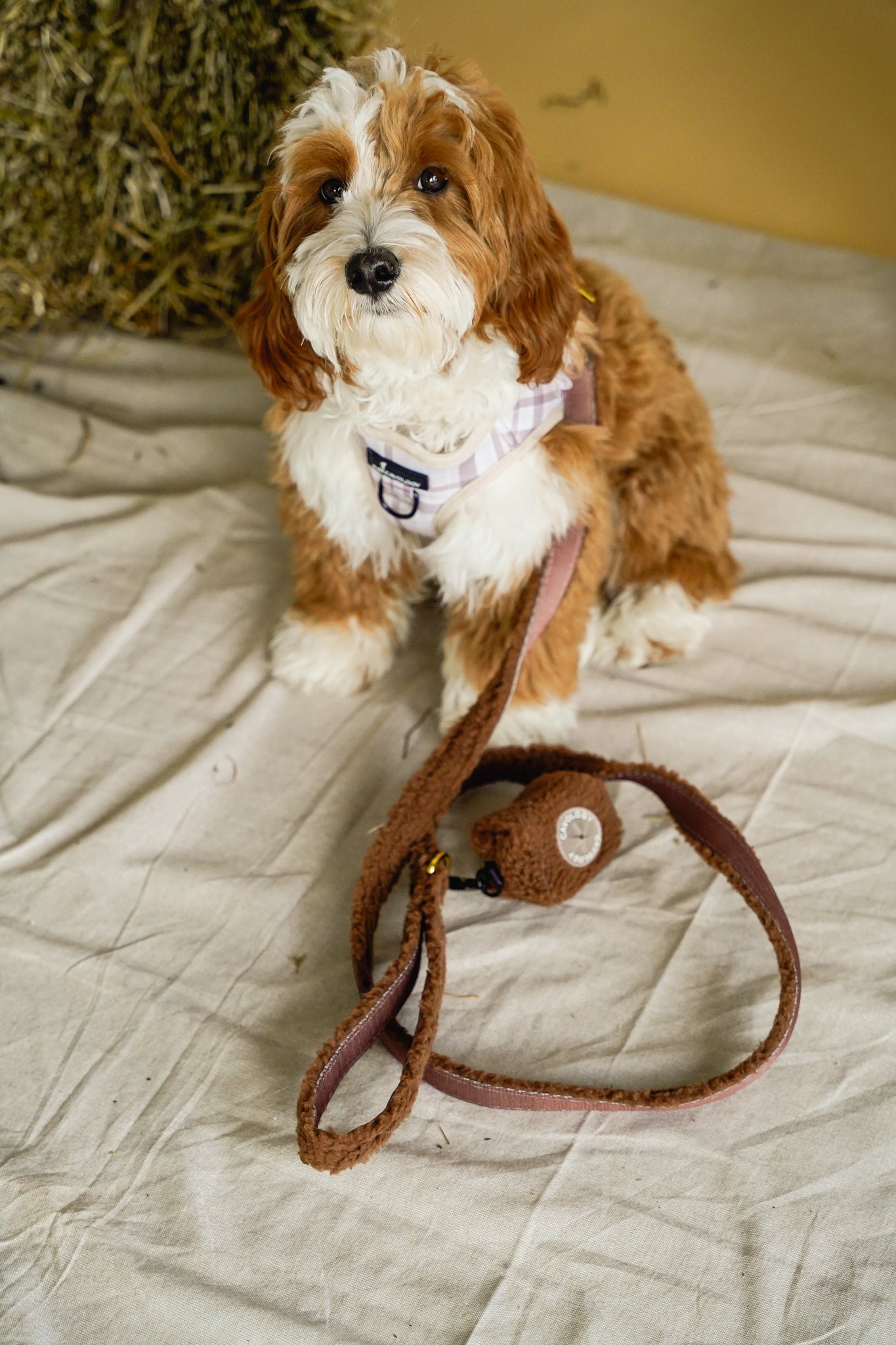 WASTE BAG DISPENSER - Brown Sherpa Teddy