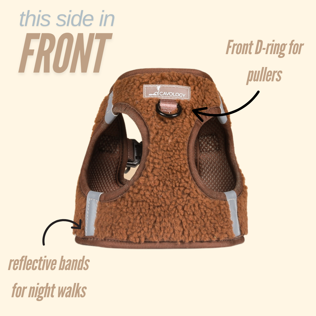 BUNDLE - Brown Sherpa Teddy