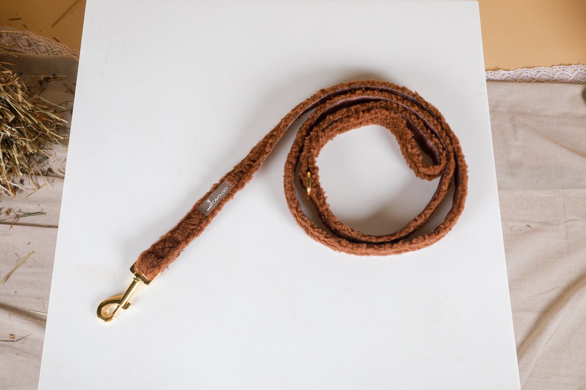 LEASH - Brown Sherpa Teddy