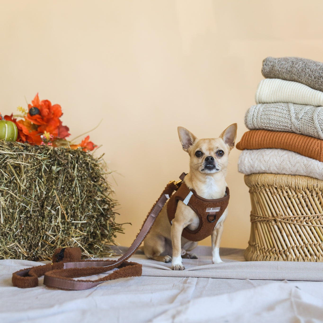 BUNDLE - Brown Sherpa Teddy