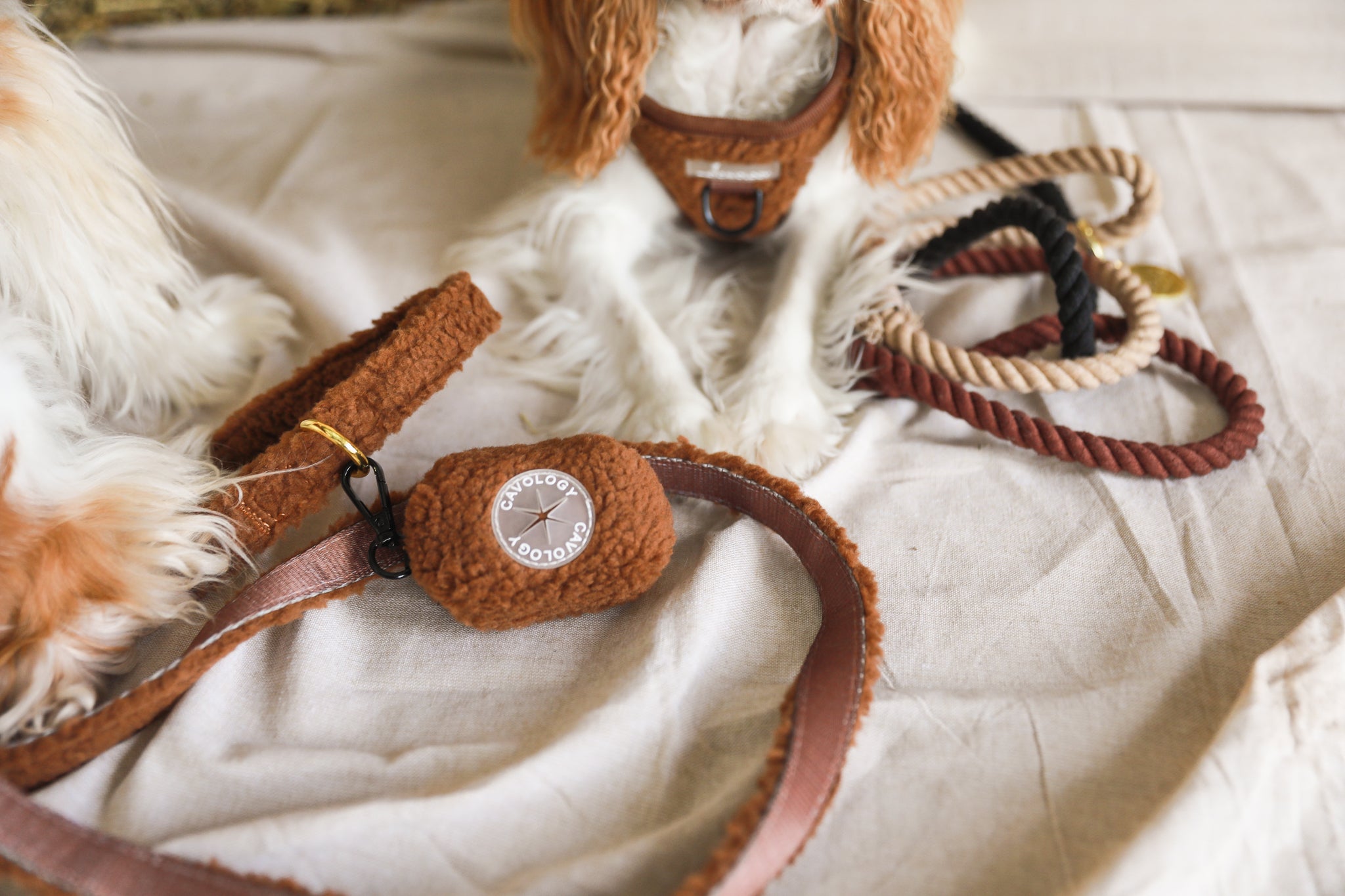 LEASH - Brown Sherpa Teddy