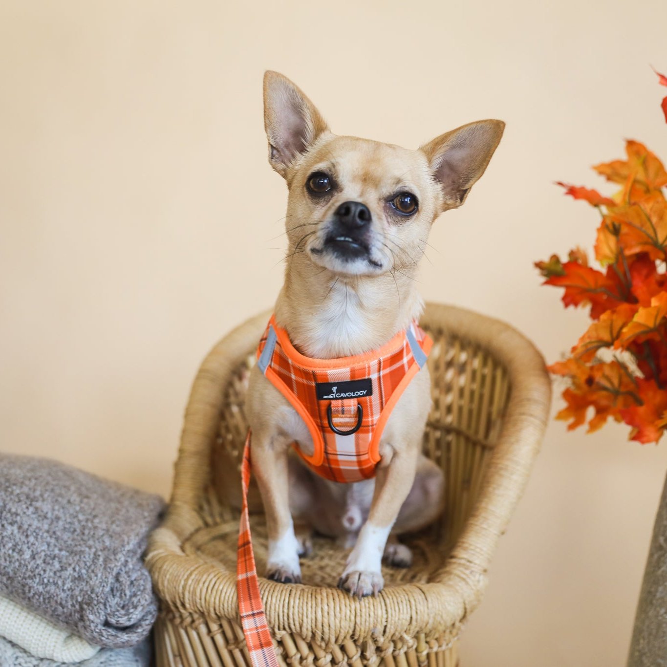 VEST STEP IN HARNESS - ORANGE PLAID Pumpkin Spice