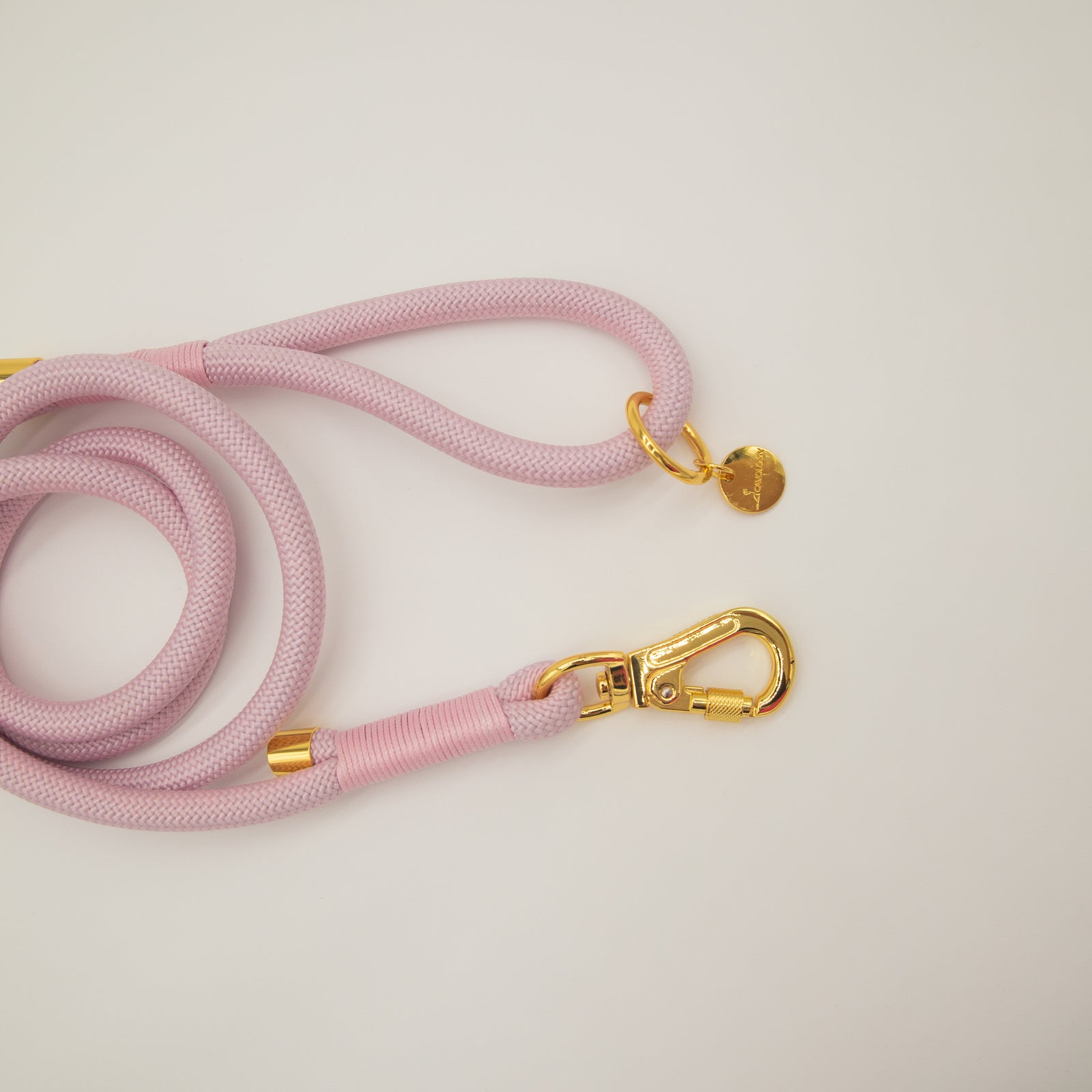 Rope Leashes for Dogs