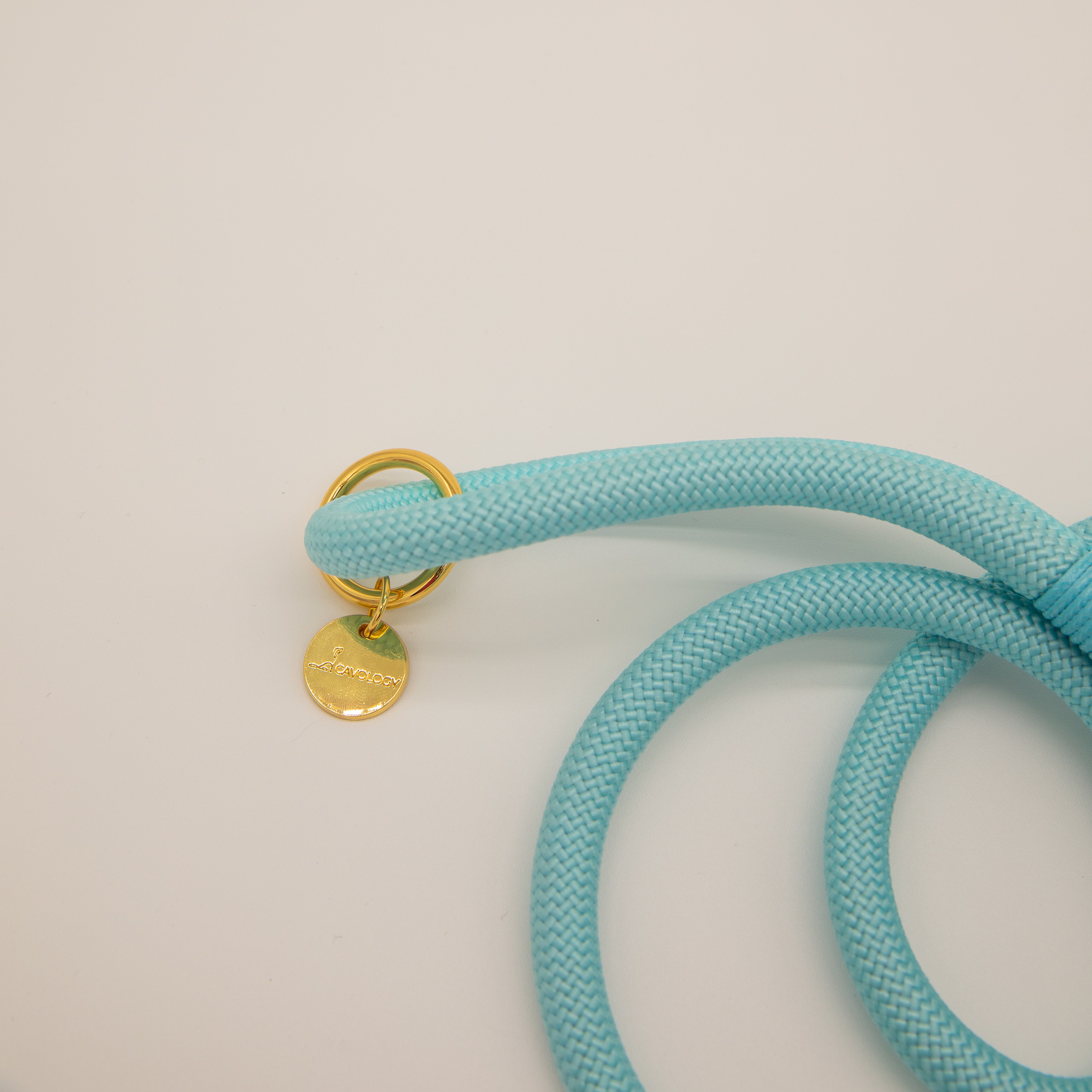 BRAIDED ROPE LEASH - TEAL BLUE