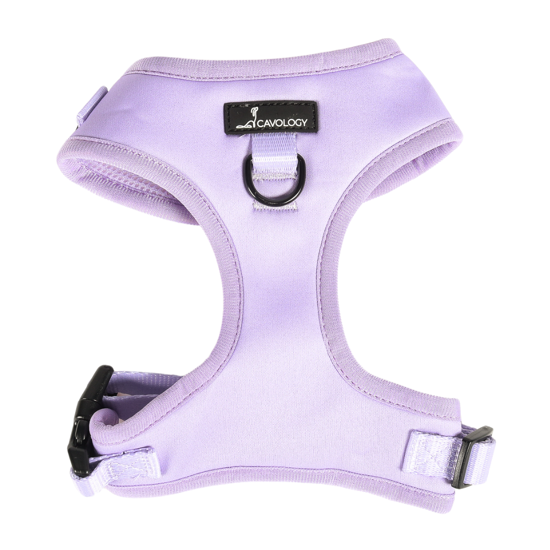 ADJUSTABLE HARNESS Aspen Lavender