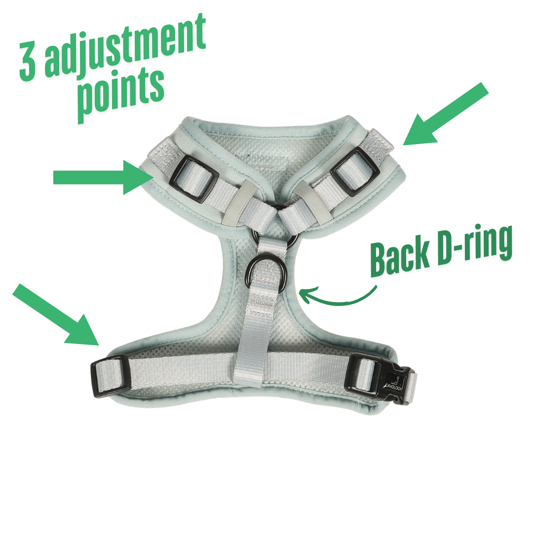 ADJUSTABLE HARNESS - Sage