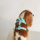 ADJUSTABLE HARNESS - Light Blue