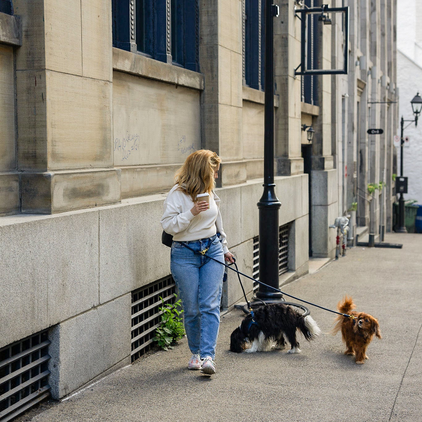 HANDS FREE BUNDLE - EASY-O STEP IN HARNESS Denim Blue