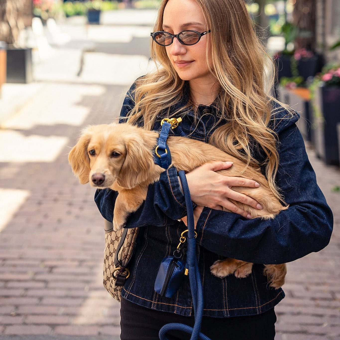BUNDLE - EASY-O STEP IN HARNESS Denim Blue