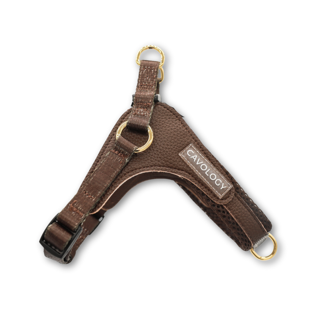 Cavology Easy-O step in harness in chocolate brown
