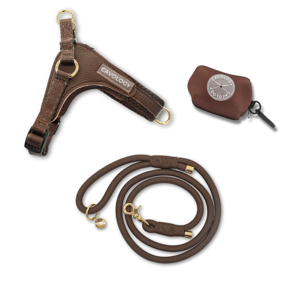 Cavology Easy O dog walking bundle with harness rope leash and waste bag dispenser in chocolate brown