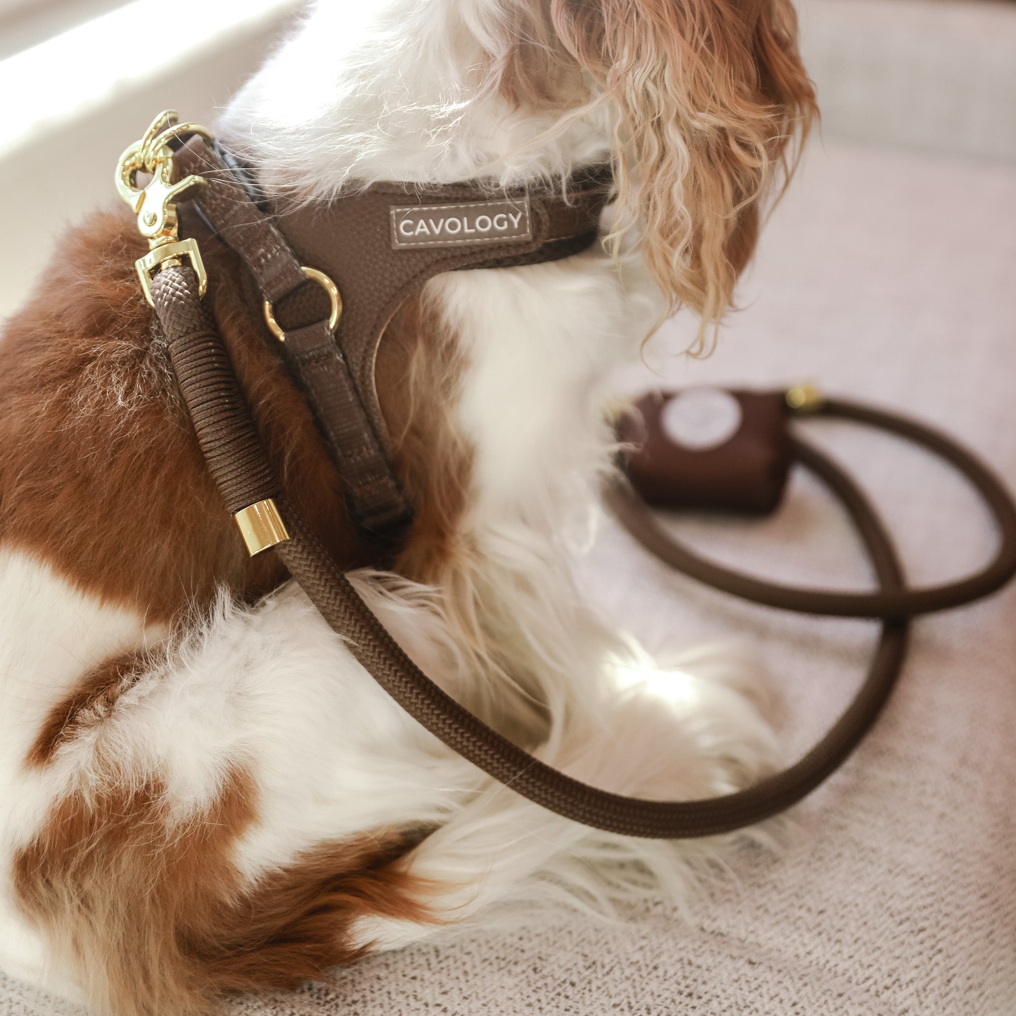 BRAIDED ROPE LEASH - Chocolate Brown