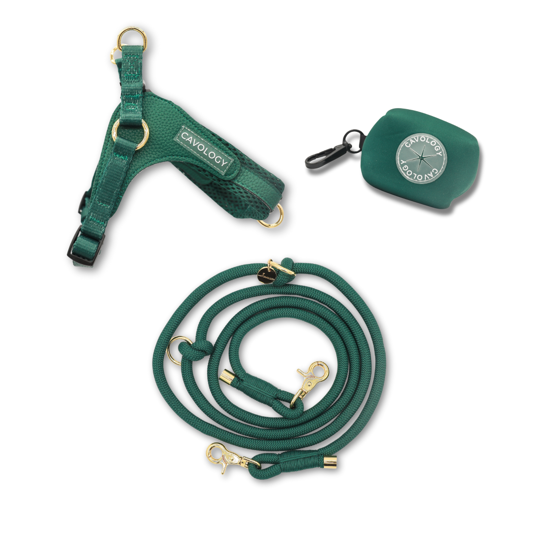 HANDS FREE BUNDLE - EASY-O STEP IN HARNESS FOREST GREEN