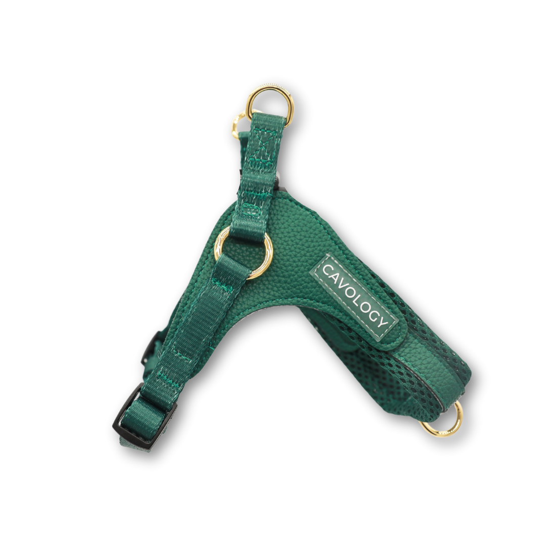 BUNDLE - EASY-O STEP IN HARNESS FOREST GREEN