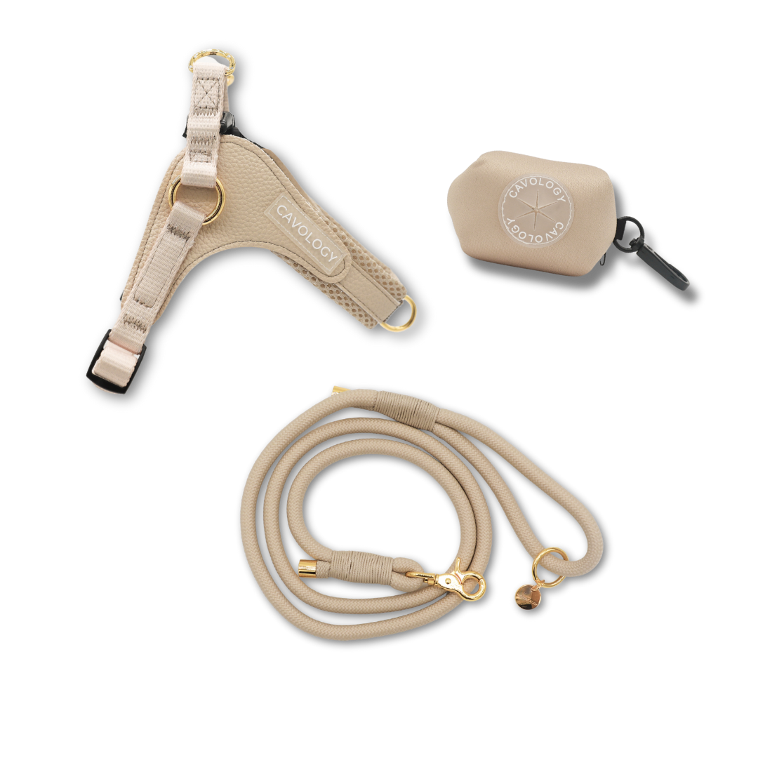 Cavology Easy O dog walking bundle with harness rope leash and waste bag dispenser in vanilla cream