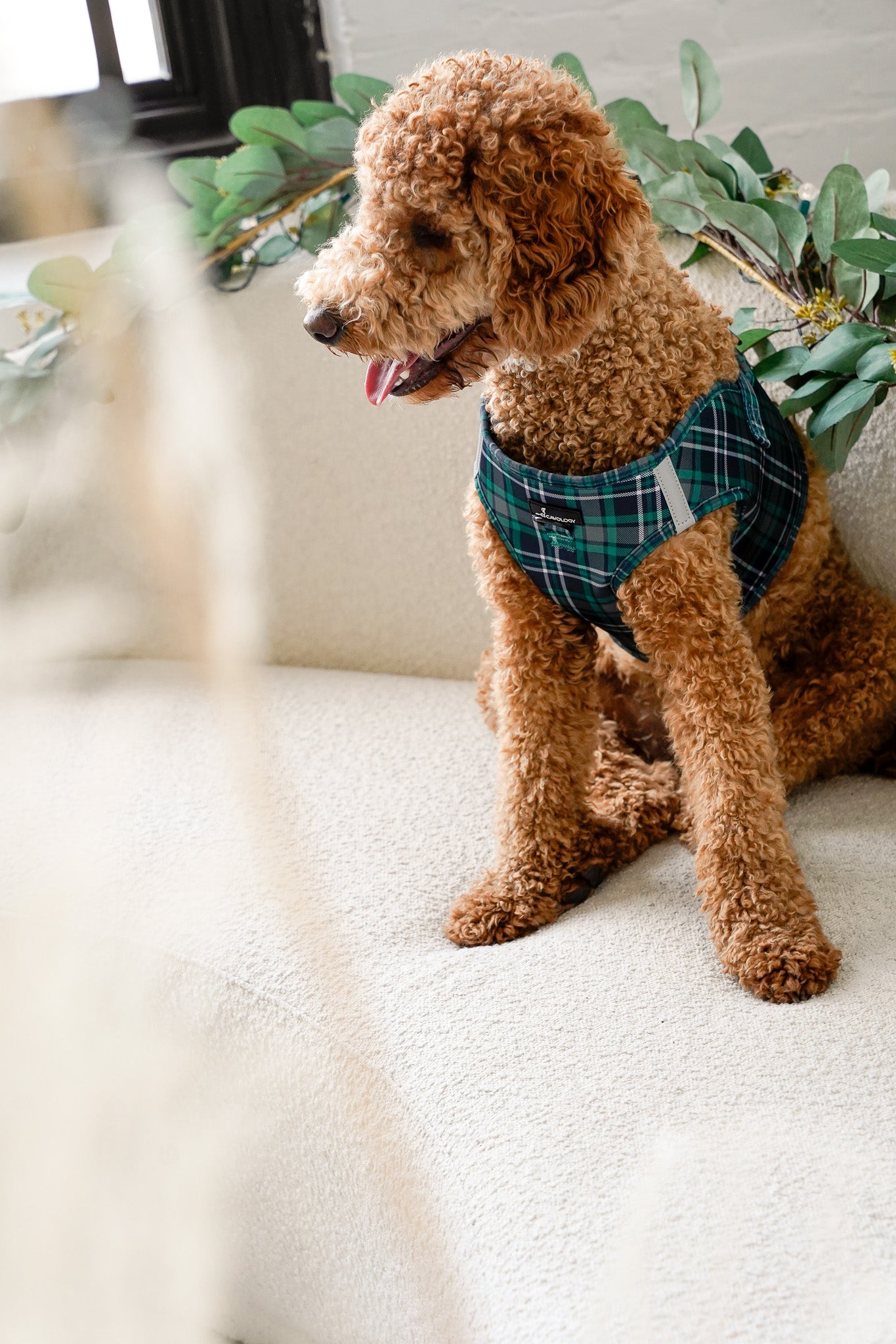 VEST STEP IN HARNESS - Green Tartan Plaid Peppermint