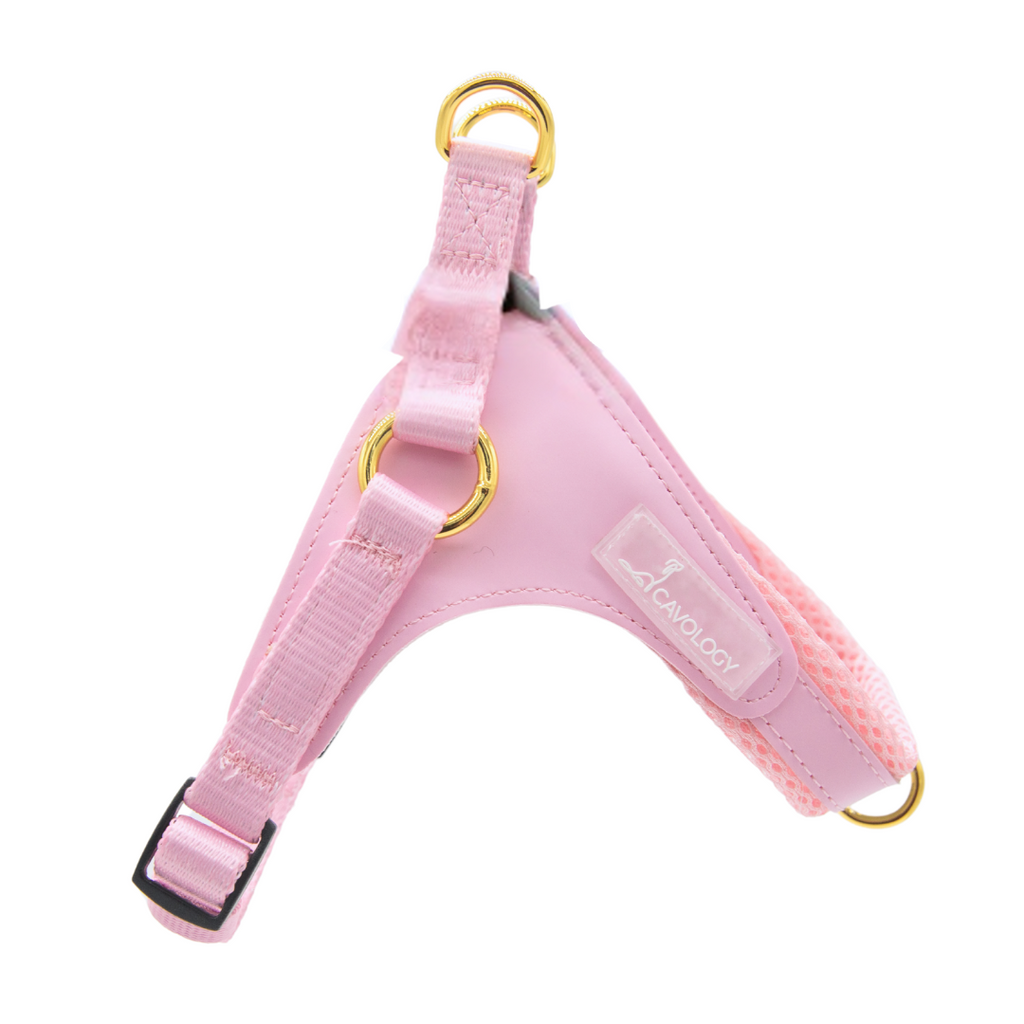 dog_harness_step_in_easy-O-