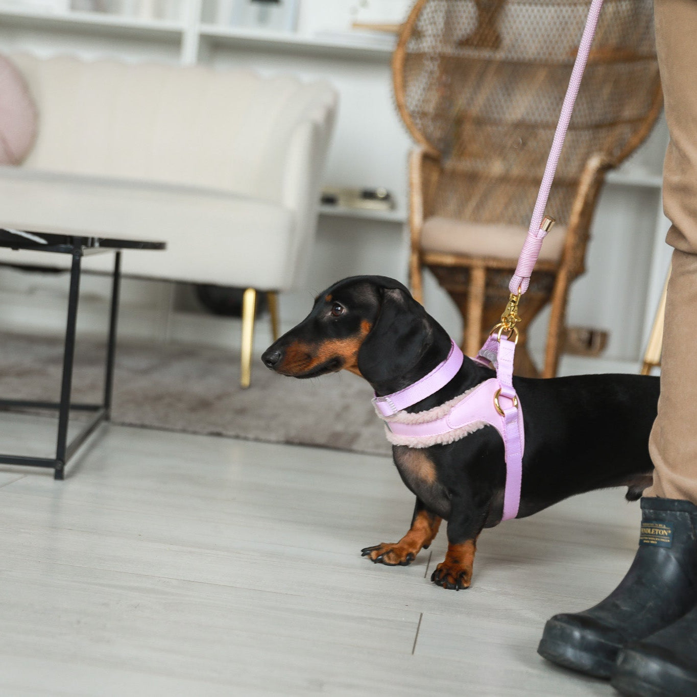 EASY-O STEP IN HARNESS - Pink Sherpa