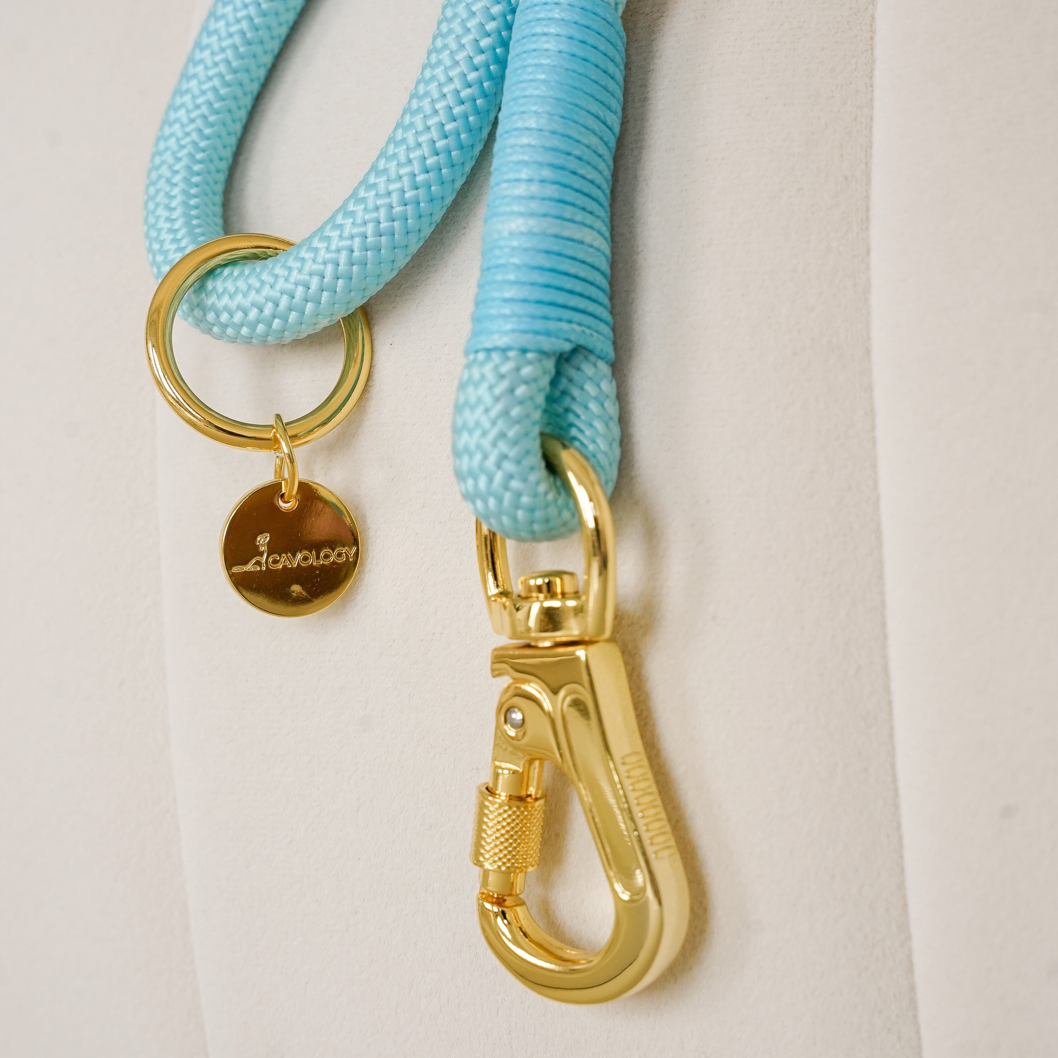BRAIDED ROPE LEASH - TEAL BLUE