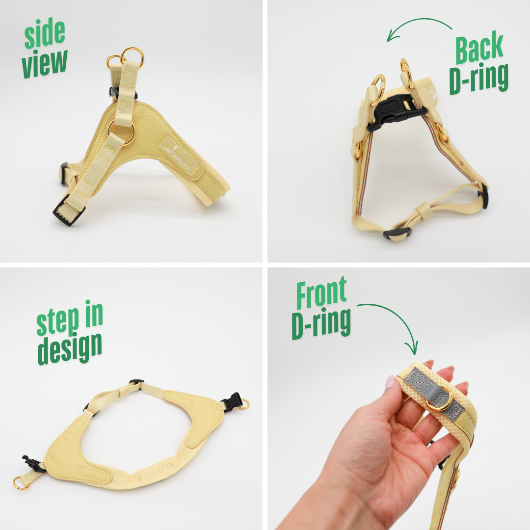 EASY-O STEP IN HARNESS - Butter Yellow