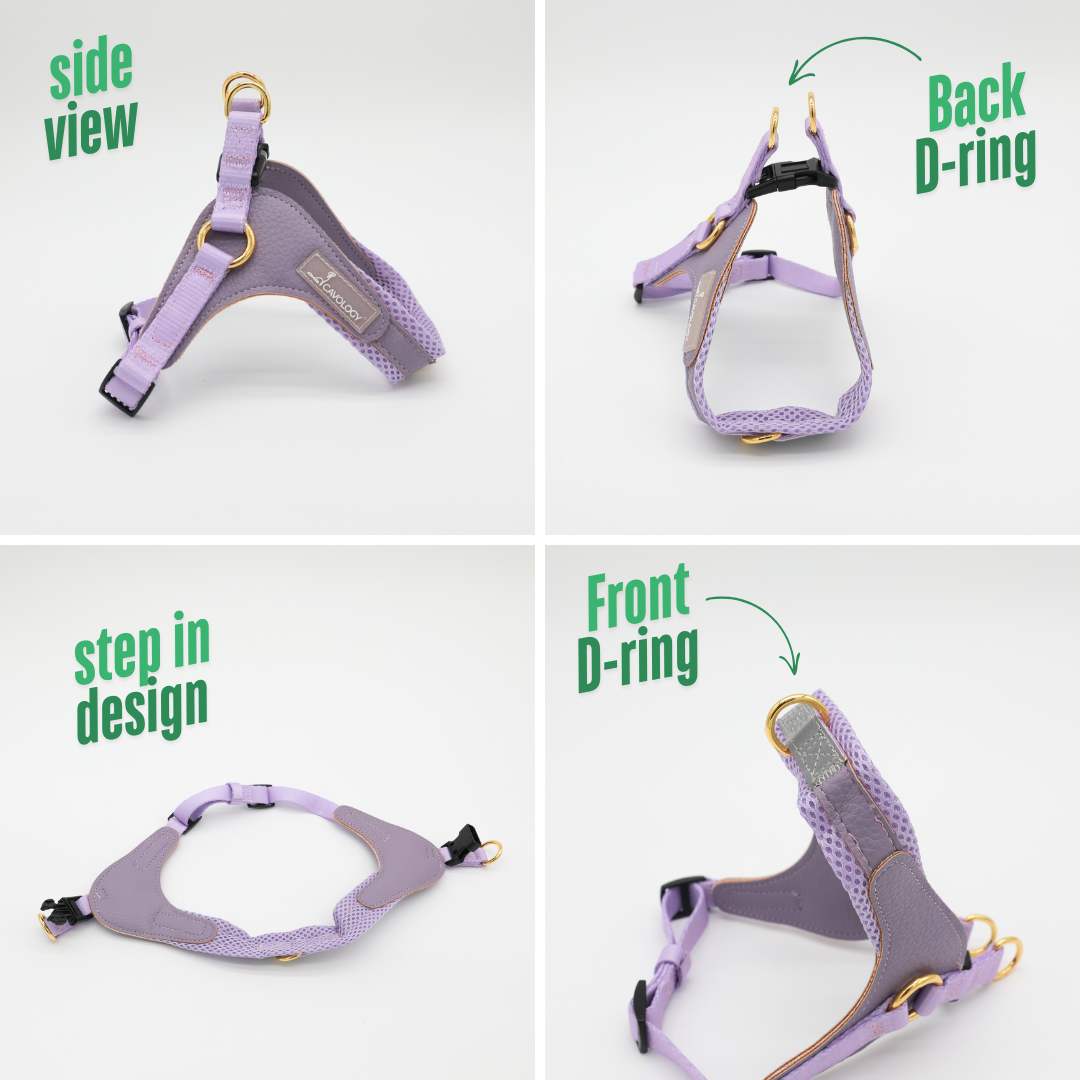 BUNDLE - EASY-O STEP IN HARNESS LAVENDER