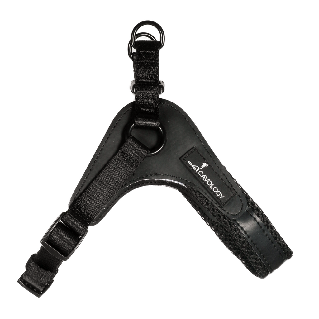 Easy step in harness online