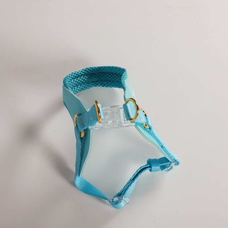 EASY-O STEP IN HARNESS - Teal