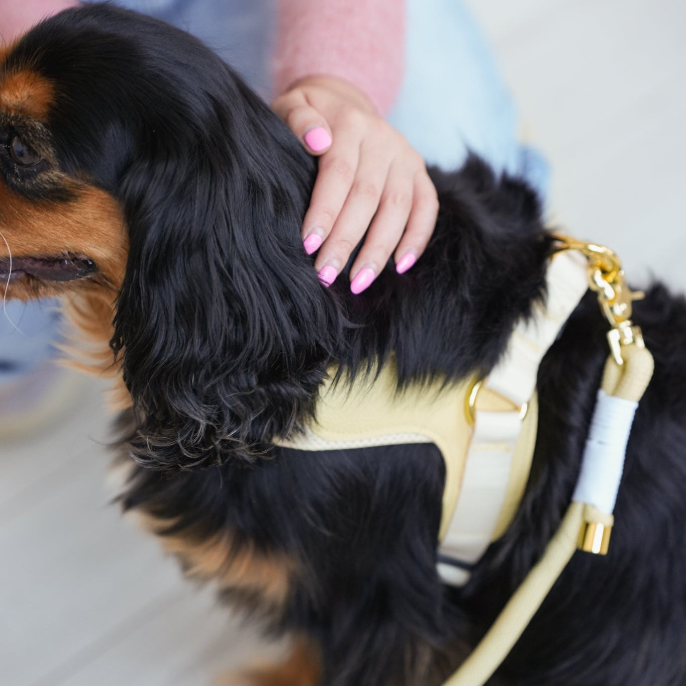 EASY-O STEP IN HARNESS - Butter Yellow