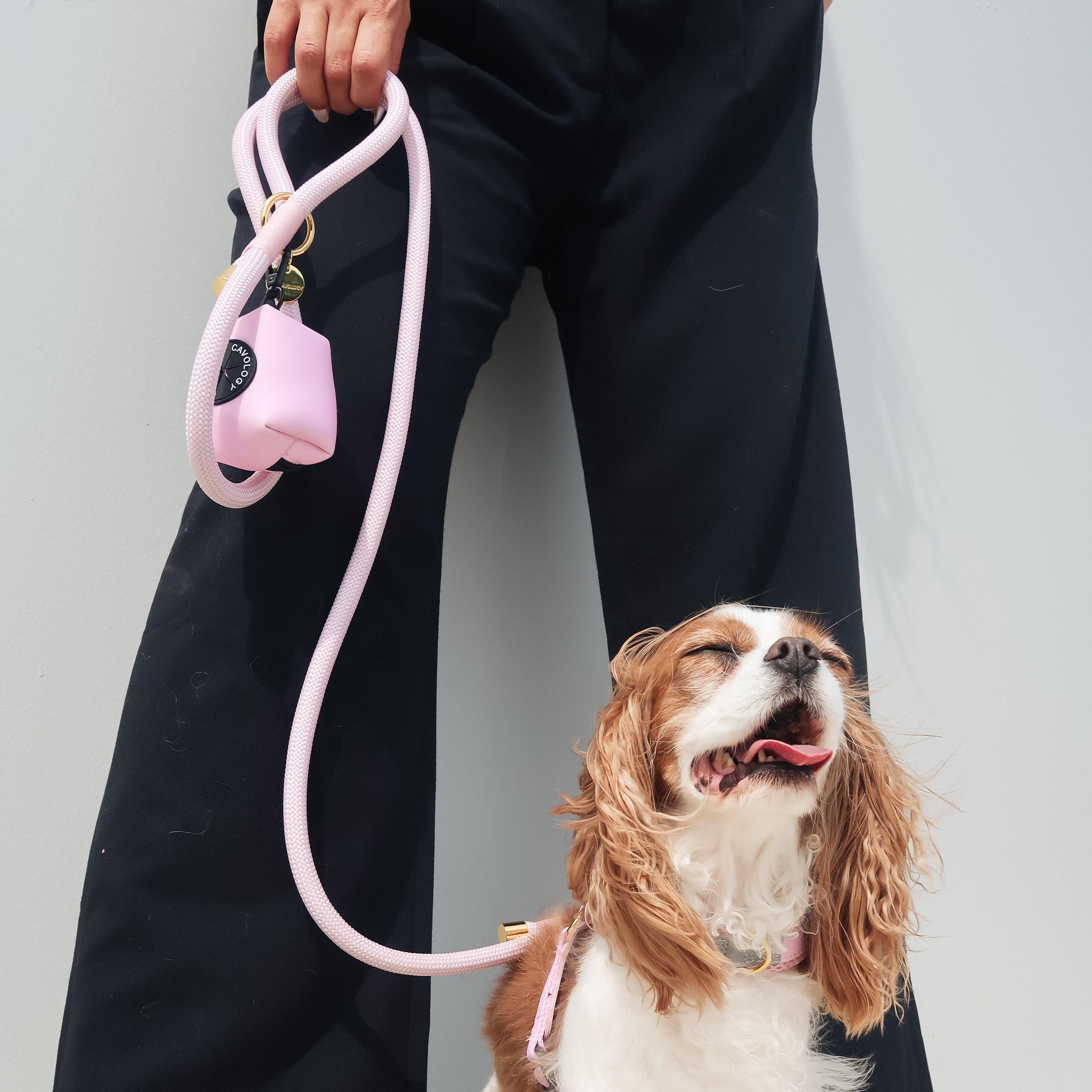 WASTE BAG DISPENSER - Pink