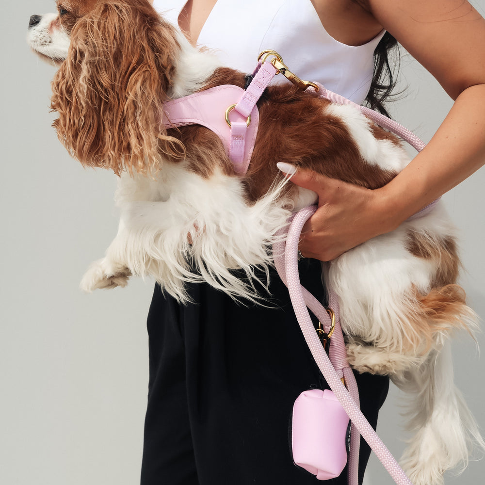 EASY-O STEP IN HARNESS - Pink