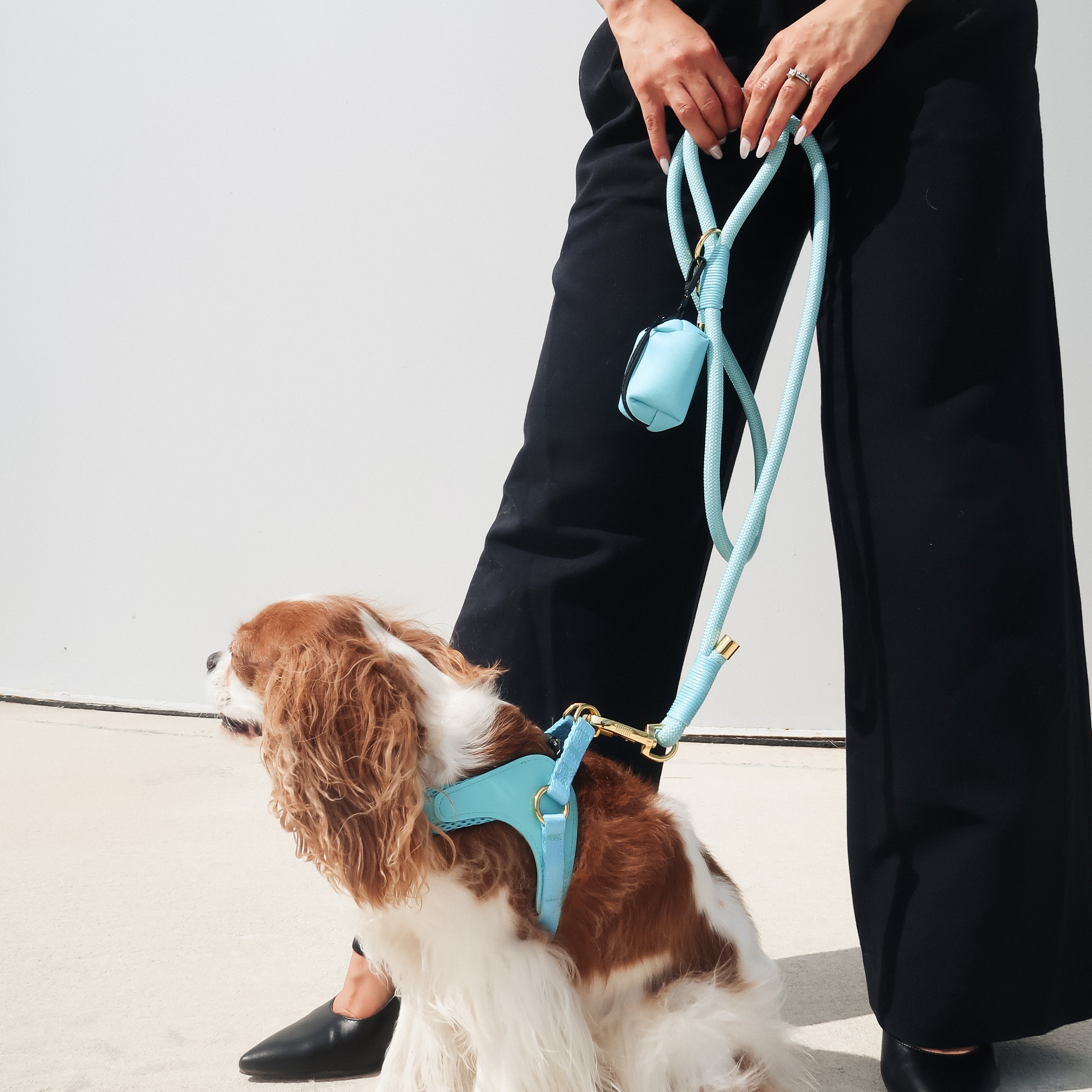 WASTE BAG DISPENSER - Teal
