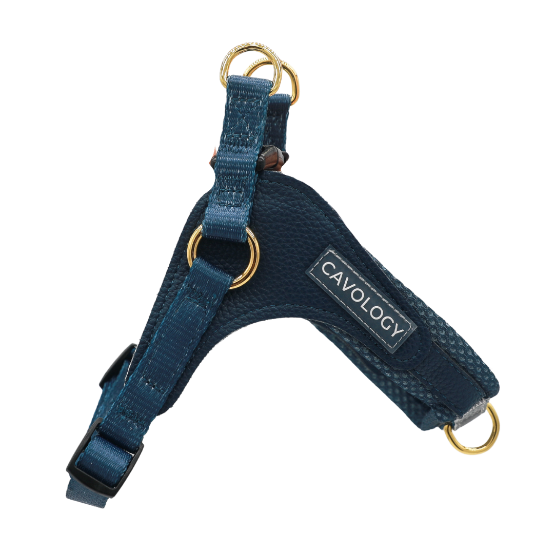 EASY-O STEP IN HARNESS - Denim Blue