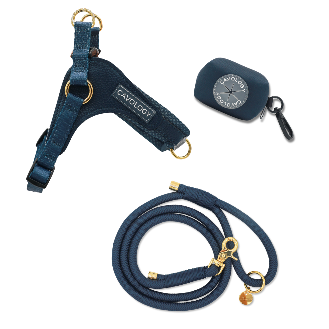 BUNDLE - EASY-O STEP IN HARNESS Denim Blue