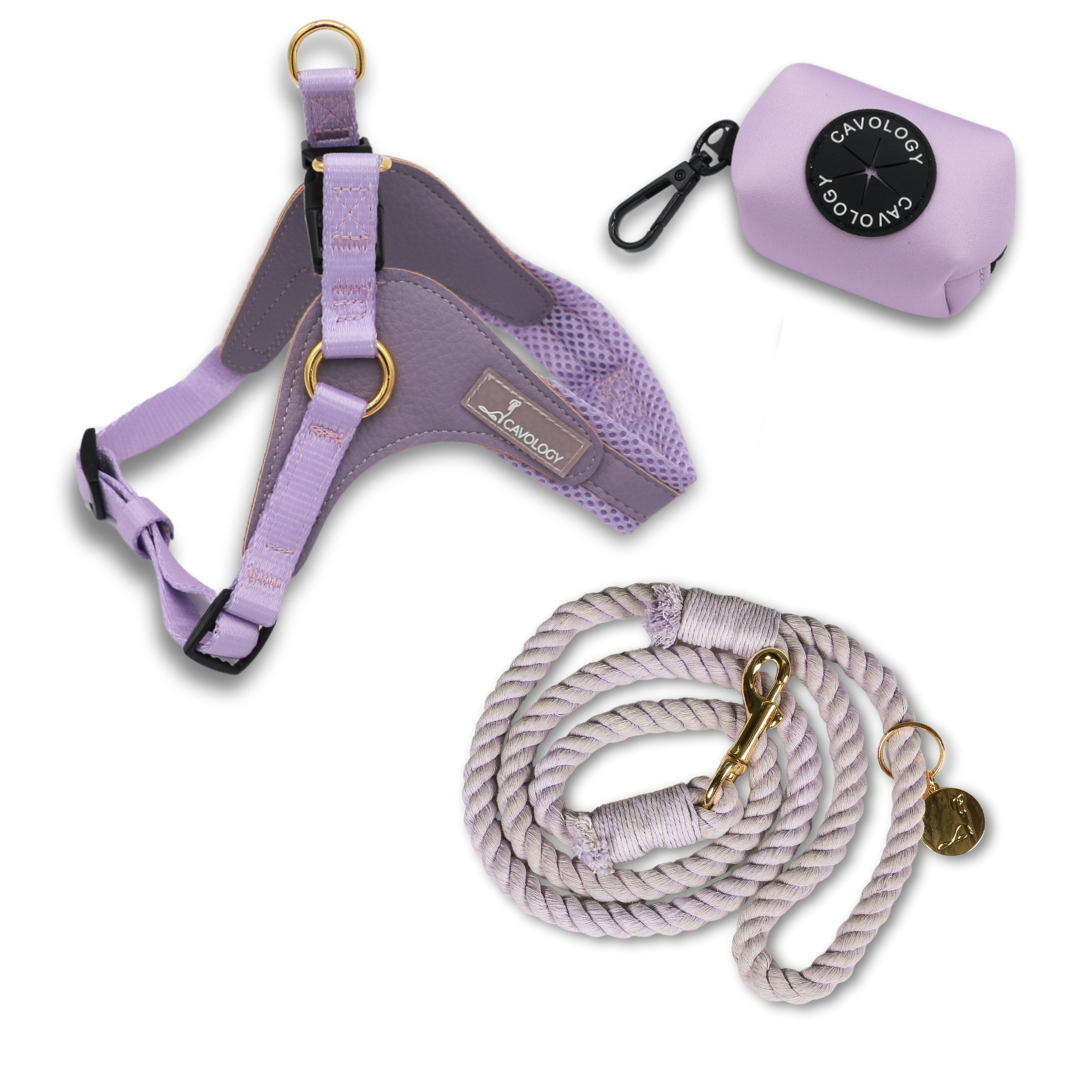 ROPE LEASH BUNDLE - EASY-O STEP IN HARNESS LAVENDER