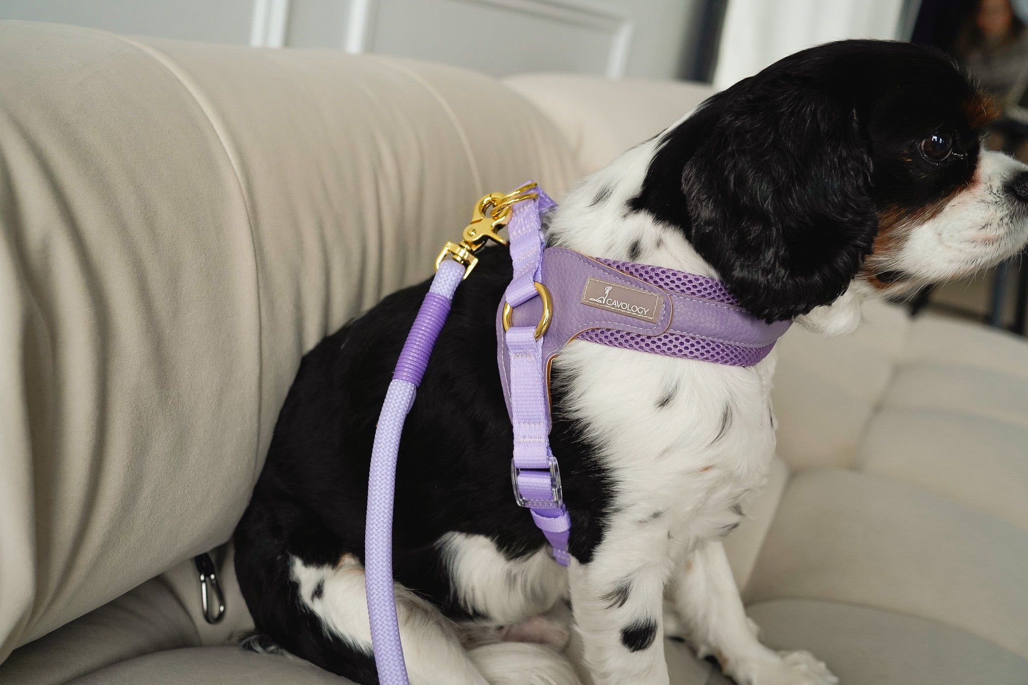 EASY-O STEP IN HARNESS - LAVENDER