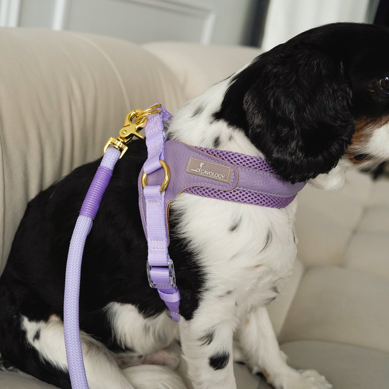 EASY-O STEP IN HARNESS - LAVENDER