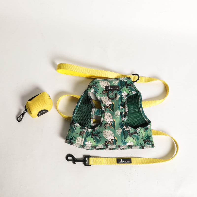DOG HARNESS BUNDLE - Safari