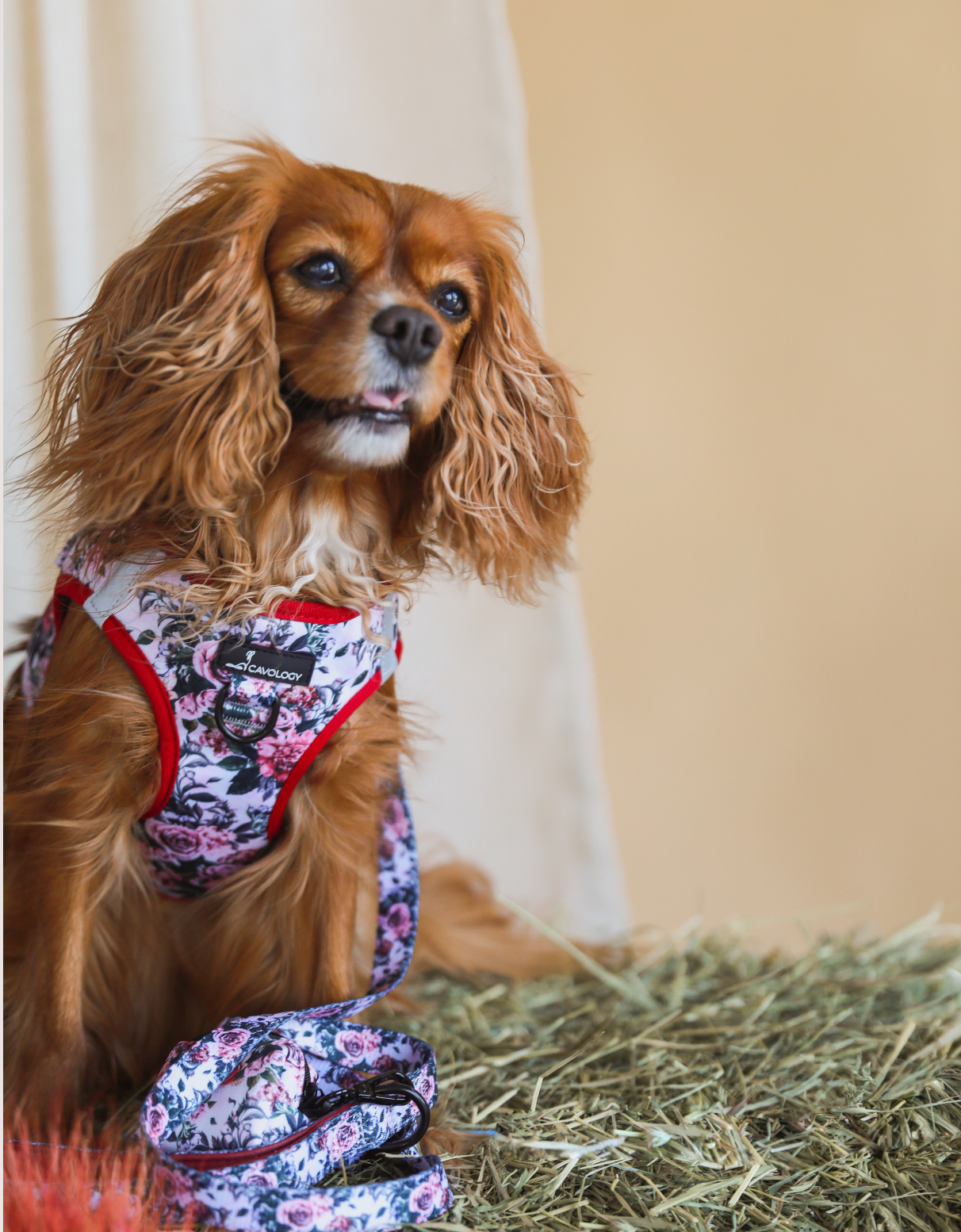 VEST STEP IN HARNESS - Autumn Roses