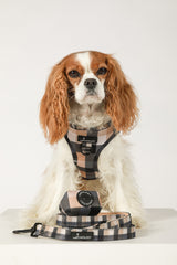 VEST STEP IN HARNESS - Buffalo Beige Plaid Cafe Latte