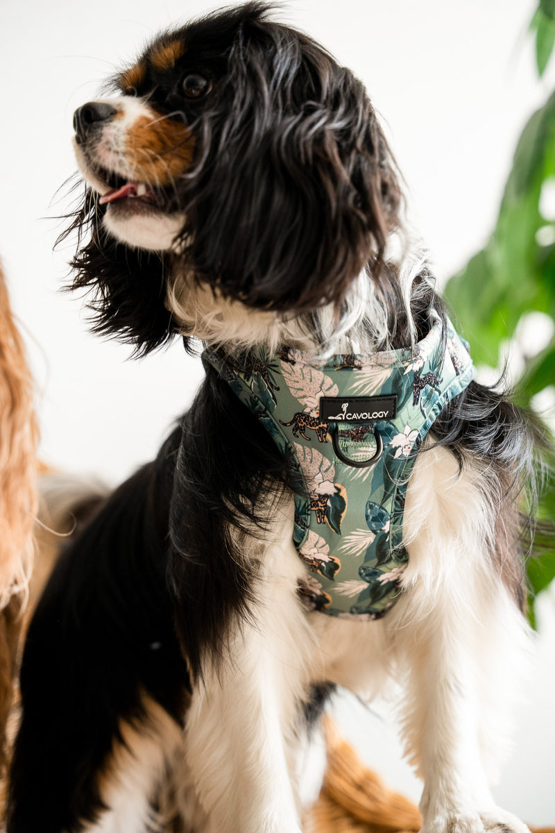 DOG HARNESS VEST STEP IN - Safari Tropical