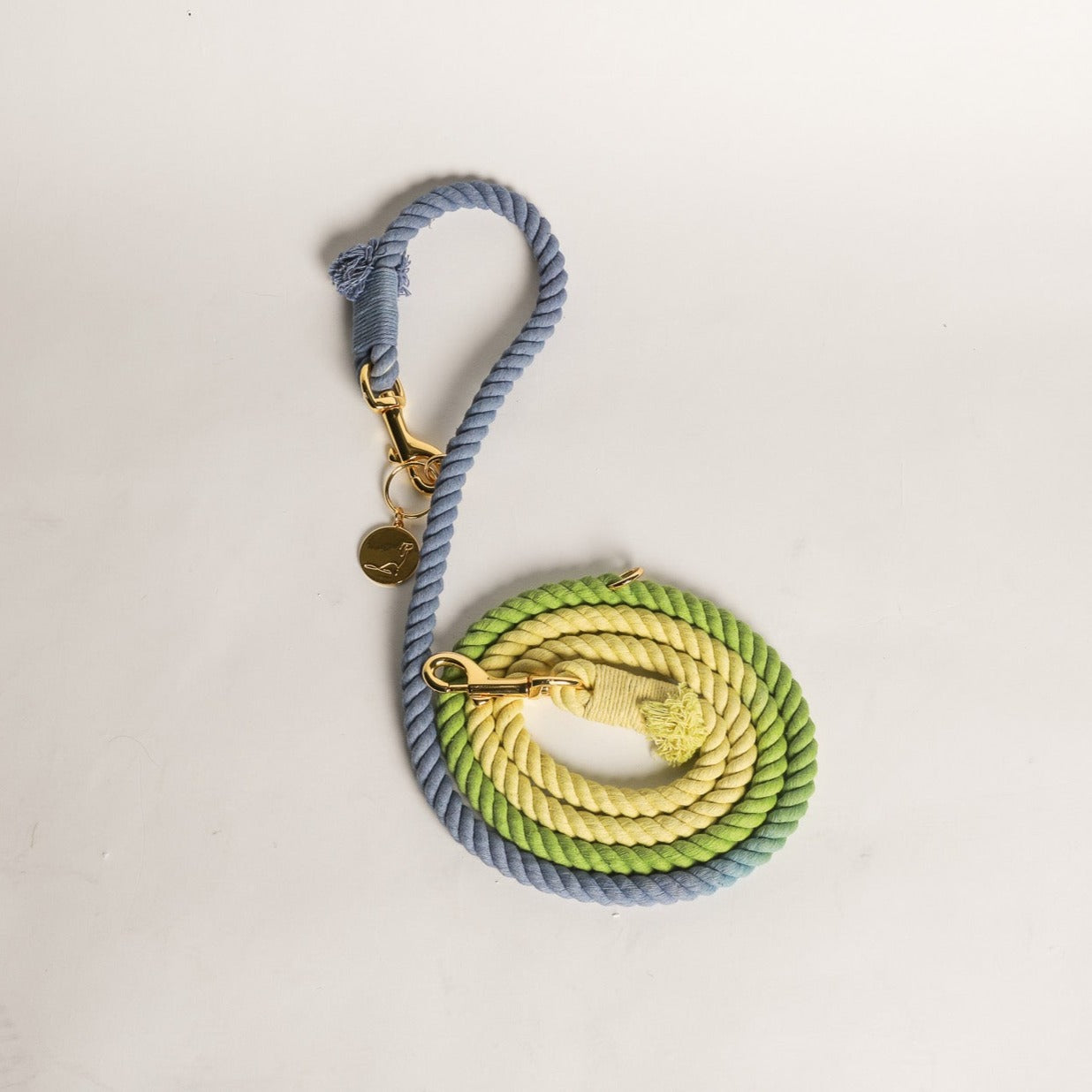 DOG LEASH HANDS FREE COTTON ROPE - Ombré Blue Green Yellow