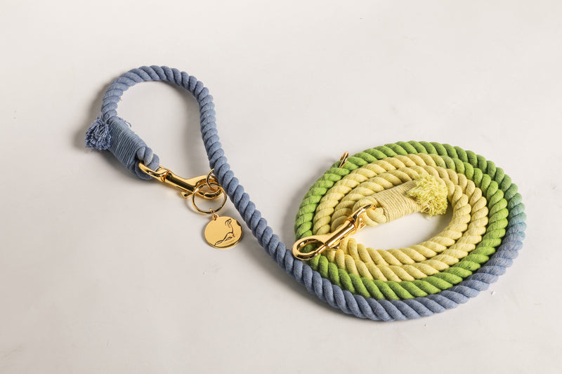 DOG LEASH HANDS FREE COTTON ROPE - Ombré Blue Green Yellow