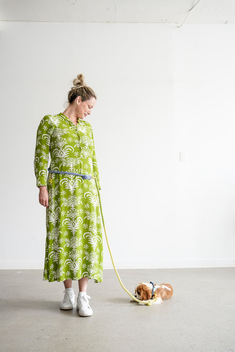 DOG LEASH HANDS FREE COTTON ROPE - Ombré Blue Green Yellow