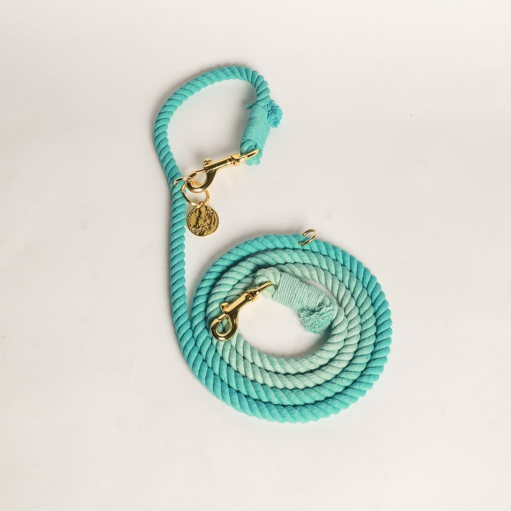 DOG LEASH HANDS FREE COTTON ROPE Ombré Blue Teal Turquoise Cavology