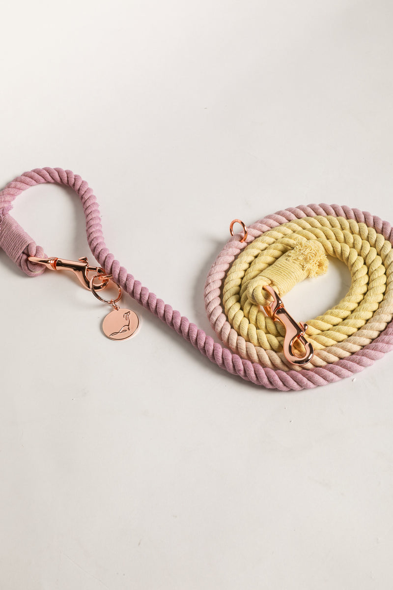 DOG LEASH HANDS FREE COTTON ROPE - Ombré Pink Yellow "Pink Lemonade"
