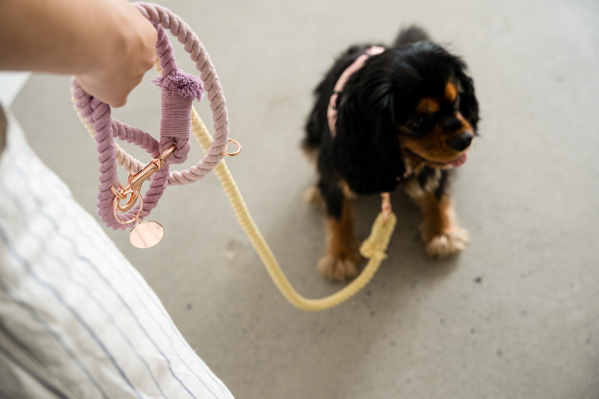 DOG LEASH HANDS FREE COTTON ROPE - Ombré Pink Yellow "Pink Lemonade"